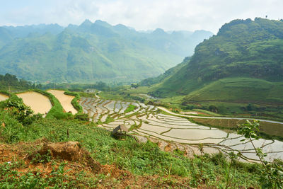 Scenic view of agricultural field and mountains