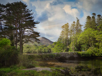 Scenic view of lake in forest against sky