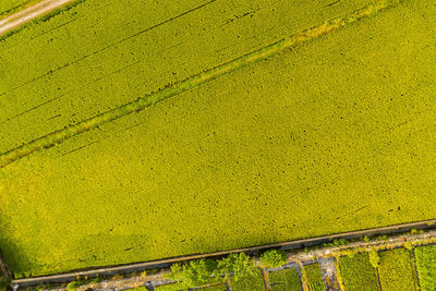 High angle view of yellow wall