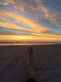 Scenic view of sea at sunset