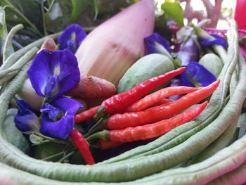 Close-up of red chili peppers on plant