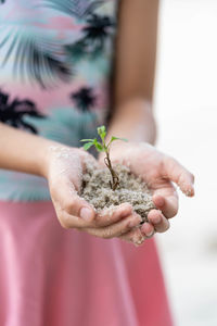 Close-up of hand holding plant