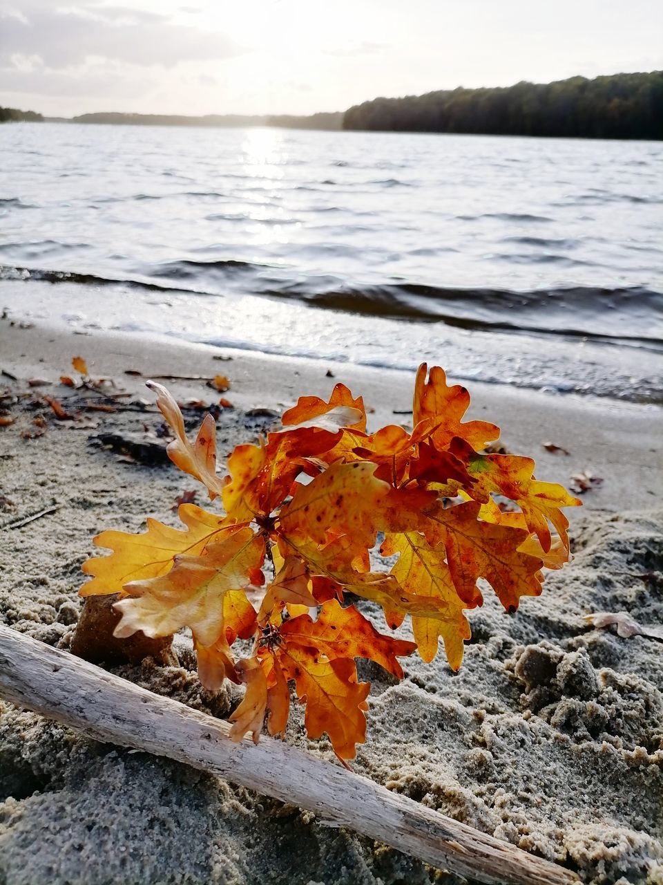 Jezioro Jeziorak jesiennie Jeziorak Lake Jezioro Iława Luście Jesień Autumn Woda Zachód Słońca #nieidealnekadryPatki #photography #iliovephotihraphy #ILoveIt
