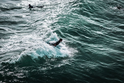 High angle view of person swimming in sea