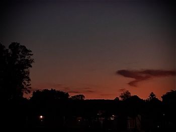 Silhouette trees against sky at night