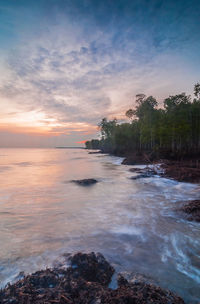 Scenic view of sea at sunset