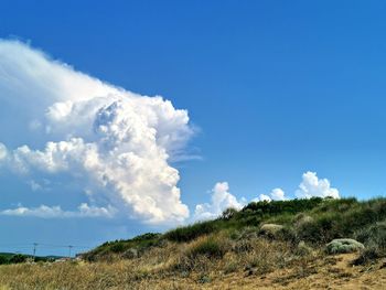 Scenic view of land against sky