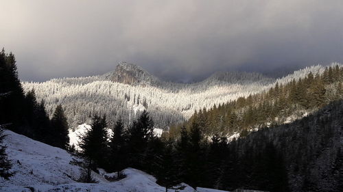 Scenic view of pine tree mountains against cloudy sky during winter