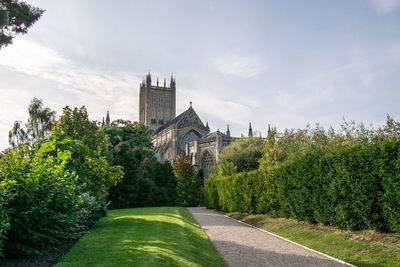 View of trees and building against sky