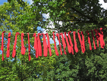 Low angle view of clothes hanging against trees