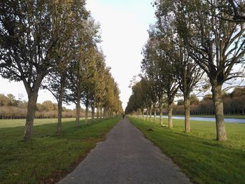 Road amidst trees on field against sky