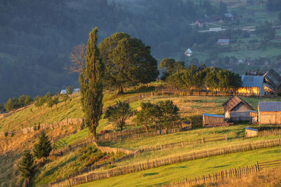 Scenic view of agricultural field by trees and houses