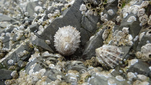 Full frame shot of textured surface