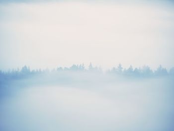 Trees on landscape against sky