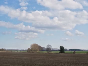 Scenic view of field against sky