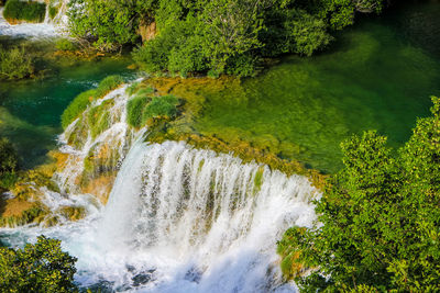 Scenic view of waterfall in forest