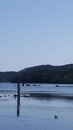 Scenic view of lake against clear blue sky