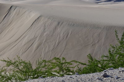 Scenic view of desert land