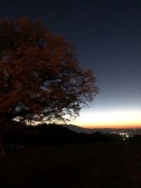 Silhouette trees on field against sky at night