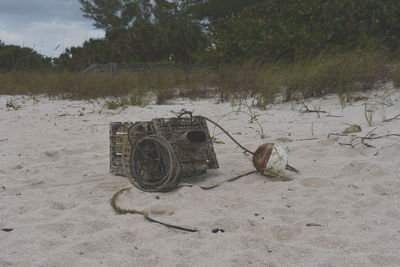 Abandoned cart on field by lake