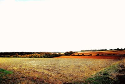 Scenic view of field against clear sky