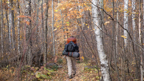 Rear view of hiker walking in forest