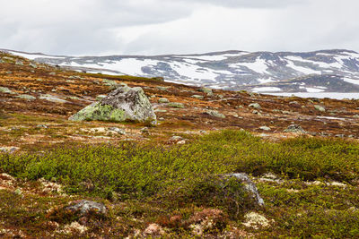 Norway landscapes. beautiful mountainous landscape around norwegian fjord in sunny day.