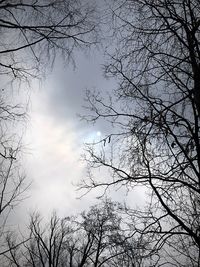 Low angle view of silhouette bare tree against sky