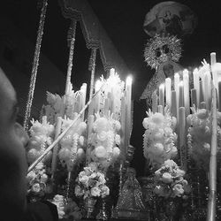 Close-up of flowers at night