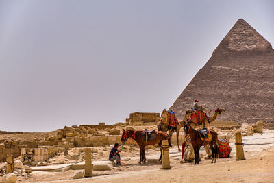 Tourists on a desert