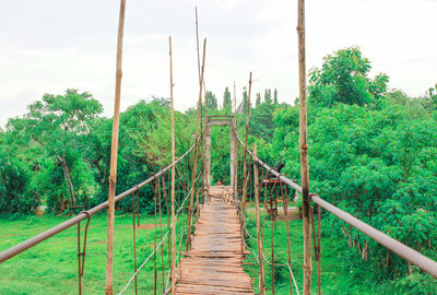 Footbridge over trees