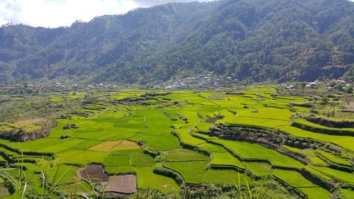 Scenic view of green landscape against sky