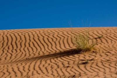 Scenic view of desert against clear blue sky