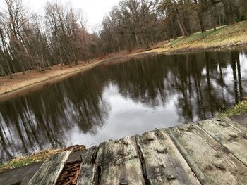 Reflection of trees in river