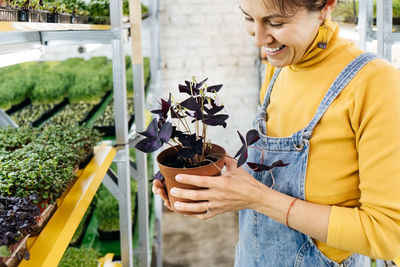 Young female farmer growing microgreens on her indoor vertical garden. happy woman looking after