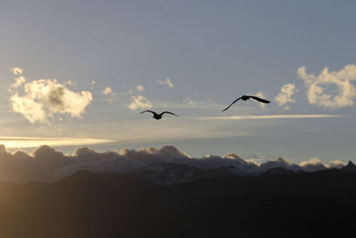 Silhouette birds flying over landscape against sky during sunset