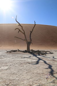 Bare tree on sand dune against sky