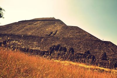 Scenic view of field against clear sky