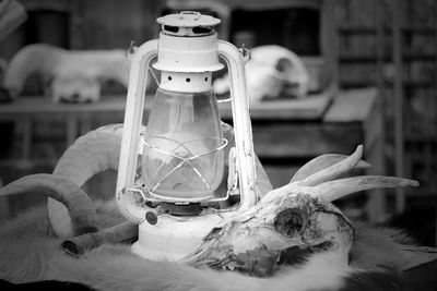 Close-up of cat looking at camera