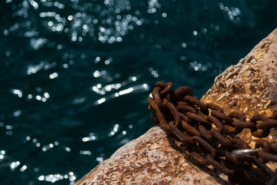 Close-up of rope tied up by sea