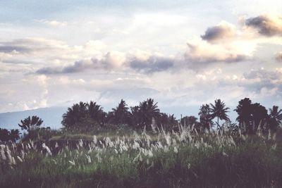 Scenic view of field against cloudy sky