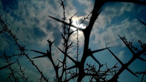 Low angle view of bare tree against cloudy sky