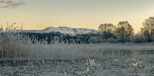 Scenic view of lake against clear sky during winter
