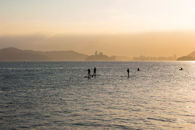 Silhouette people paddleboarding in sea against sky during sunset