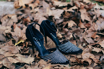 High angle view of shoes on dry leaves