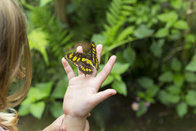 Midsection of woman holding leaf