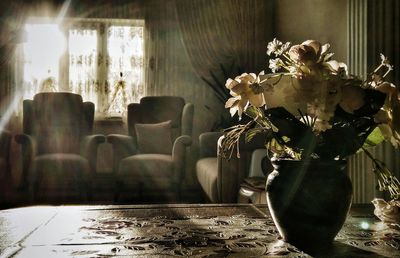 Close-up of potted plants on table at home