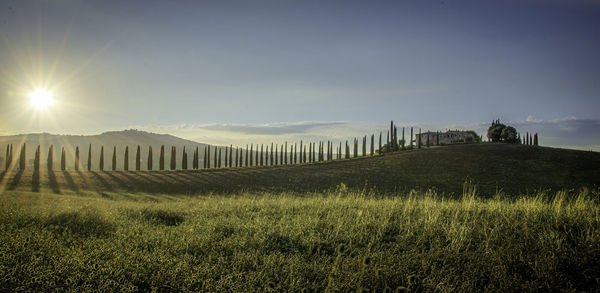 Tuscany, poggio covili farmhouse