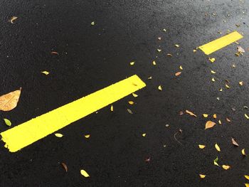 Full frame shot of road with marking and leaves