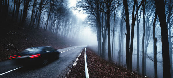 Foggy road in carpahtian hills